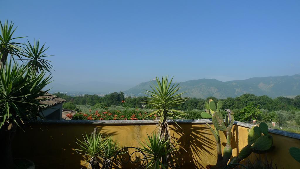 Le Ninfee Bed & Breakfast Cassino Ngoại thất bức ảnh