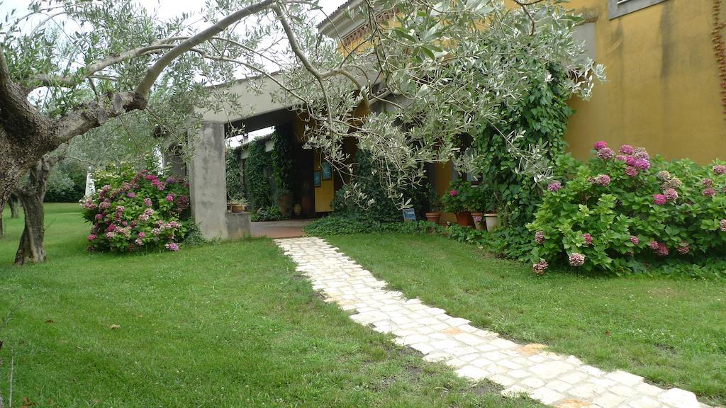 Le Ninfee Bed & Breakfast Cassino Ngoại thất bức ảnh