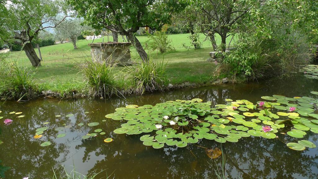 Le Ninfee Bed & Breakfast Cassino Ngoại thất bức ảnh